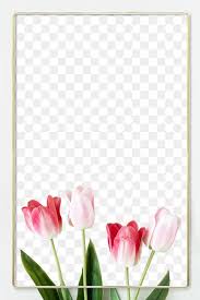 Golden Blooming Tulip Frame Design Element Free Image By Rawpixel Com Gade In 2020 Flower Frame Design Element Free Illustrations