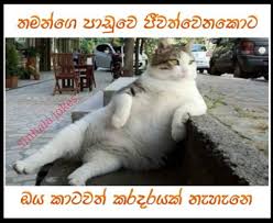 Maybe you would like to learn more about one of these? Sinhala Jokes Facebook