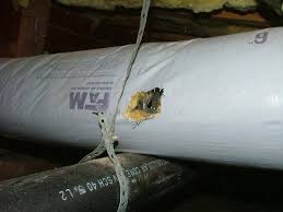 Get rid of rodents permanently. Flexible Heating Cooling Ductwork How Flexible Really Charles Buell Inspections Inc