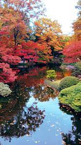 Fort Worth Botanical Gardens Japanese Garden Landscape Japanese Garden Beautiful Gardens