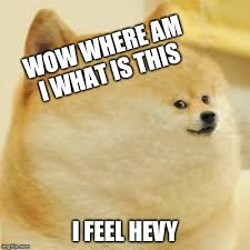 This post was submitted on 09 jan 2020. Memes Overload Fat Doge Wow Memes Gifs Imgflip