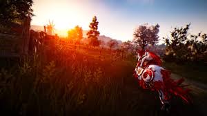 Check spelling or type a new query. Black Desert Online Download