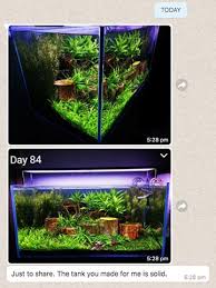 .with platforms existing across asia including singapore, thailand, indonesia. Reviews Testimonials N30 Fish Tank Cabinet Aquarium N30 Tank