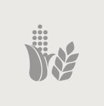 Kami menawarkan program latihan industri dan praktikal untuk pelajar pertanian atau hortikultur. Informasi Lengkap Jurusan Pertanian