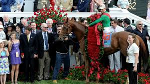 Image result for kentucky Derby