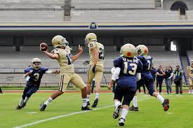 Maybe you would like to learn more about one of these? Desalojan Campo De Futbol De Los Pumas Diario Digital