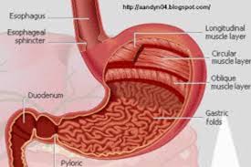 Maybe you would like to learn more about one of these? Cara Mengobati Lambung Bengkak Secara Alami Kumparan Com