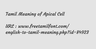 In complex organisms, such as humans. Tamil Meaning Of Apical Cell à®‰à®š à®š à®• à®•à®²à®®