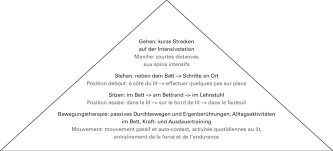Pour pouvoir utiliser ces médicaments, il. Abbildung 2 Fruhmobilisationspyramide Mit Sukzessiv Aufeinander Download Scientific Diagram
