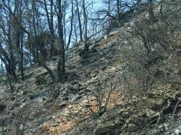 We did not find results for: Sbhnei H Fwtia Sto Paggaio Oros To Pontiki
