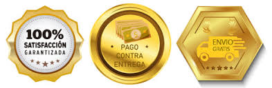 Cactus Bailarín🌵 Imitador🚛Envío Gratis – Tobuy Tienda