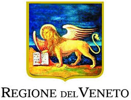 Legge N 119 Del 31 Luglio 2017 Le Domande Frequenti A Cura Della Regione Veneto Vaccinarsi In Veneto