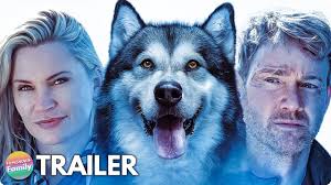Lionsgate home entertainment | release date (streaming): Hero Dog The Journey Home 2021 Trailer Family Dog Movie Youtube