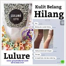 0818 0408 0101 Xl Masker Wajah Tradisional Untuk Kulit Kering Masker Pemutih Wajah Alami Untuk Kulit Kering Ma Kulit Berminyak Kulit Perawatan Kulit Alami
