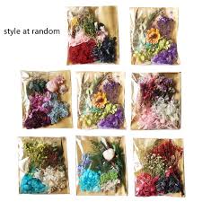 Check spelling or type a new query. Dry Flowers For Resin 100 Pcs1 Dried Flowers For Resin 100 Pcs Real Dry Flowers For Resin Real Dried Flowers For Resin Natural Pressed Dried Flowers Real Dried Pressed Craft Supplies Arts