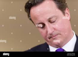 Ellen david hi-res stock photography and images