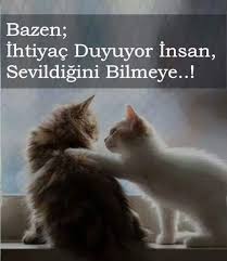 Bazen Ihtiyac Duyuyor Insan Sevildigini Bilmeye Kediler Ile Ilgili Resimli Sozler Guzel Sozler Resimli Yazilar Kediler Kedi Komik Kedi Resimleri Hayvan Sozleri