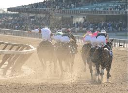 We've got the runners for all the daily races thanks to our superb odds comparison, as well as information on ante post betting and the biggest festivals and meetings. Nyra Nytha Nytb Launch Video Series