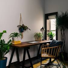 Take a closer look at these office plants for your desk. 8 Best Office Plants For Your Desk Top Low Light Indoor Plants