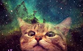 584 space hd wallpapers and background images. Cats In Space Wallpapers On Wallpaperdog