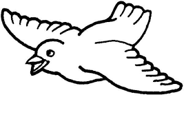 Cute bird coloring pages for kids. Remarkable Bird Coloring Pages For Kids Azspring Coloring Home