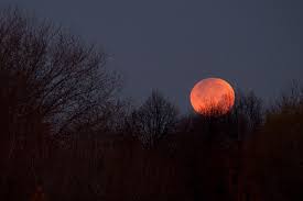 How To Take Pictures Of The Moon 18 Examples Photography Tips