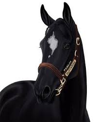 Jullelin Professional General Artist Deviantart Horse Art Ideas Horse Cartoon Horse Animation