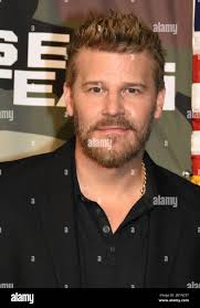 Seal team hi-res stock photography and images