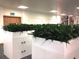 I only took the casing and not the drawers as i already knew what i could make with it. Indoor Plants For Offices Urban Planters