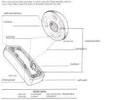 Check spelling or type a new query. 34 Label Plant And Animal Cells Label Design Ideas 2020