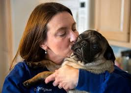 Kim Springman's Instagram, Twitter & Facebook