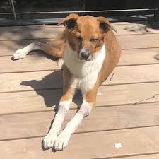 WFMU Profile for bobdoesthings