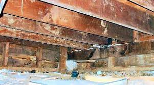 L Inspection Du Vide Sanitaire Et Les Dangers Lies Au Vide Sanitaire Internachi