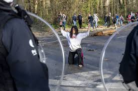 Parc paysager à caractère forestier, le bois de la cambre doit son nom à l'abbaye de la cambre toute proche. Gqkbfo Sej5nmm