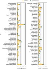 Image result for Equilabium petiolare