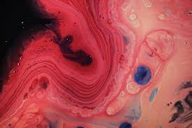 It also organizes some of the cell components maintaining the cell shape 4. Cell Parts 101 Plant And Animal Cell Helpful Study Guides Biology Junction