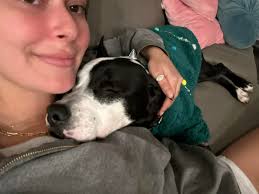 Meet Boba, the lovable, squishy-headed 11 month-old pup who's ready to find  his home! Boba got his name from his big ol' head, which we think adds to  his charm! This happy