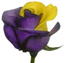 Alibaba.com offers 14,865 yellow orange roses products. Purple And Yellow Rose Purple Roses Yellow Flowers Purple Flowers Halloween Roses Rainbow Roses Yellow Roses Purple Roses