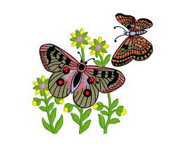 Designs, index,free embroidery designs archive. Free Machine Embroidery Design Butterflies