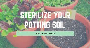 Maybe you would like to learn more about one of these? 5 Easy Ways To Sterilize Potting Soil With Infographics And Video Your Indoor Herbs
