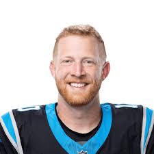 2015 NFL punts stats