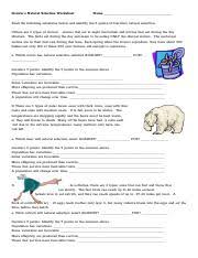 Worms that eat at night nocturnal and worms that eat during the day diurnal. Darwin S Natural Selection Practice 1 Pdf Darwins Natural Selection Worksheet Name Read The Following Situations Below And Identify The 5 Points Of Course Hero