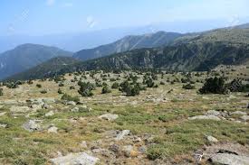 De perpignan sud, accueille principalement les chiens et les chats abandonnés. Landschaft In Pyrenees Orientales Conflent Region Von Roussillon In Sudfrankreich Lizenzfreie Fotos Bilder Und Stock Fotografie Image 87263185