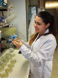 We did not find results for: Plant Cell Biotechnology Laboratory On Twitter Welcome Ana Carvalho Ana Is Doing Her Bsc In Cell And Molecular Biology From Fctnova She Joined The Bcvlab Itqbunl For A Short Research Training On