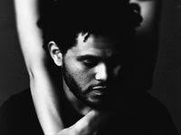 Hugo Ambriz Garcia (hambriz897)