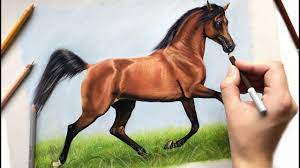 Draw a rose in pen and ink. Drawing The Arabian Horse Mikaal C Pastel Pencils Paintingtube
