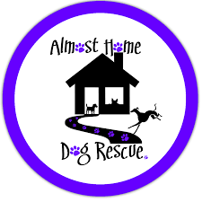 Applicants approved by the foster home will be contacted to arrange a meet and greet. Almost Home Dog Rescue Home Facebook
