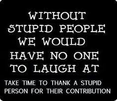 We did not find results for: No Patience For Stupidity Quotes 50 Best Stupid People Quotes Images Quotes Stupid People Dogtrainingobedienceschool Com