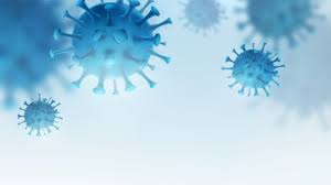 What's going on at curevac (nasdaq:cvac)? Covid 19 News Curevac Partners With Novartis And More Biospace
