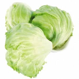 Lechuga repollada 